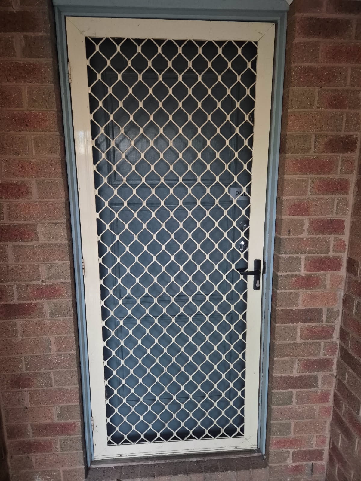 Diamond grille security door on brick home