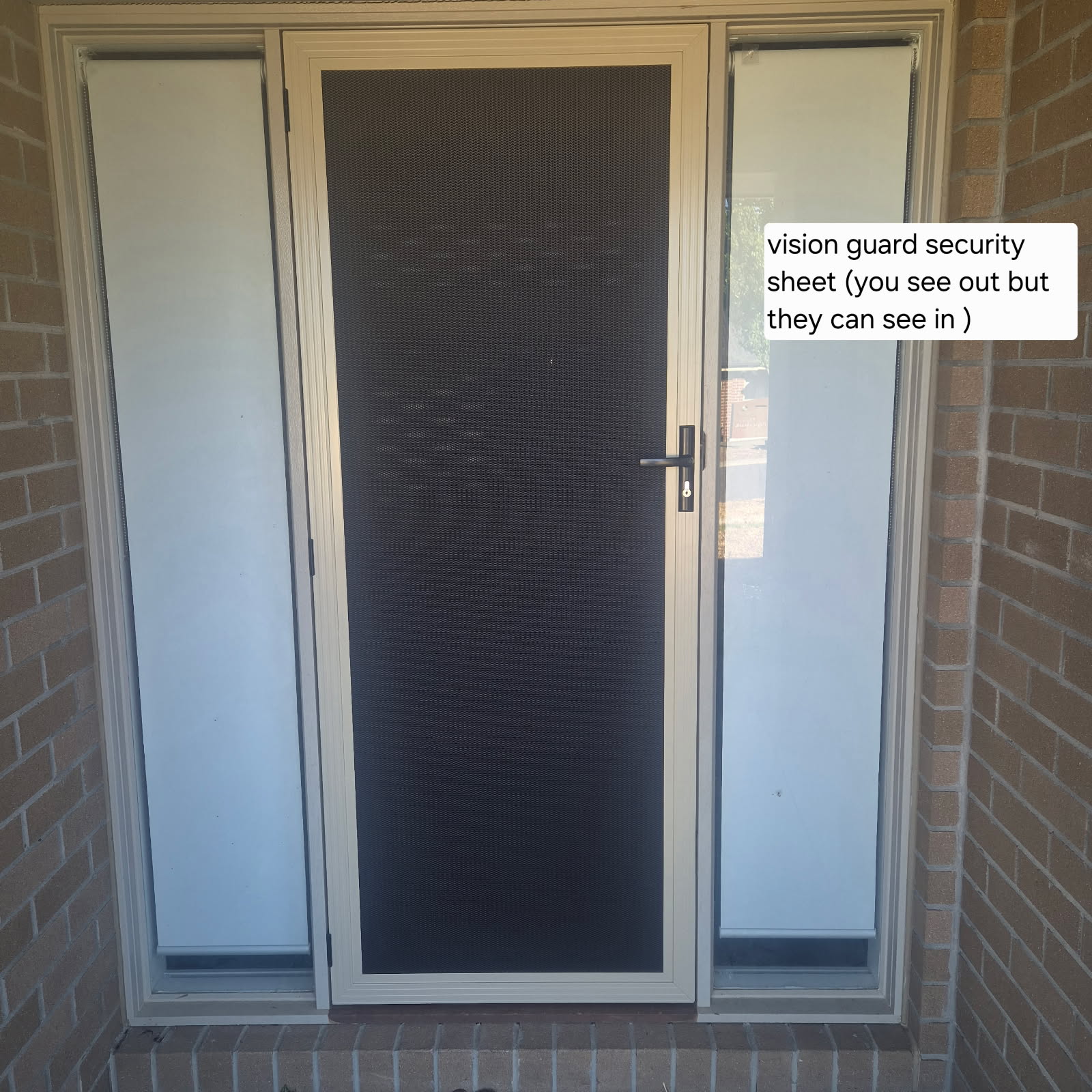 316 stainless steel security door on porch