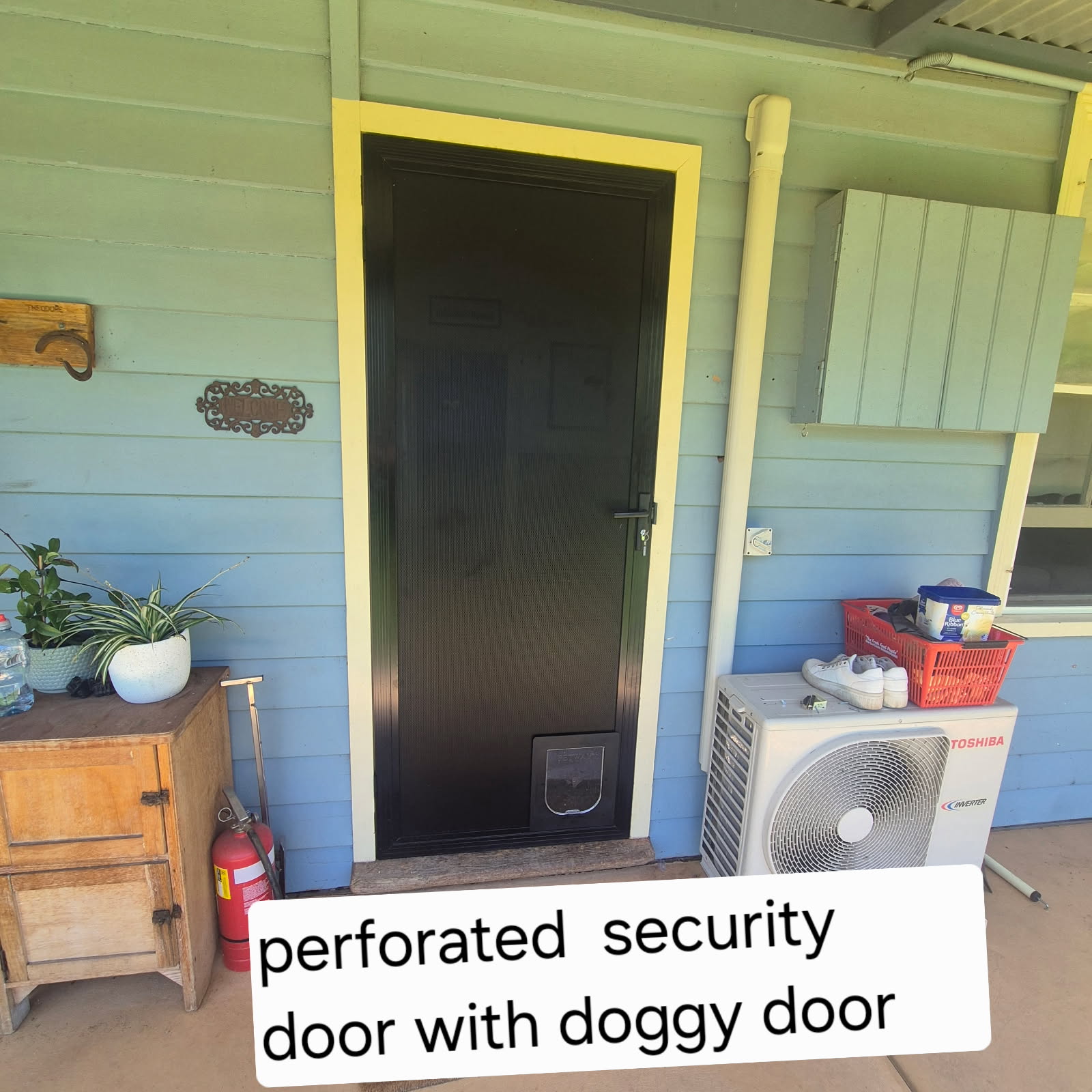 Perforated security door with doggy door on blue house