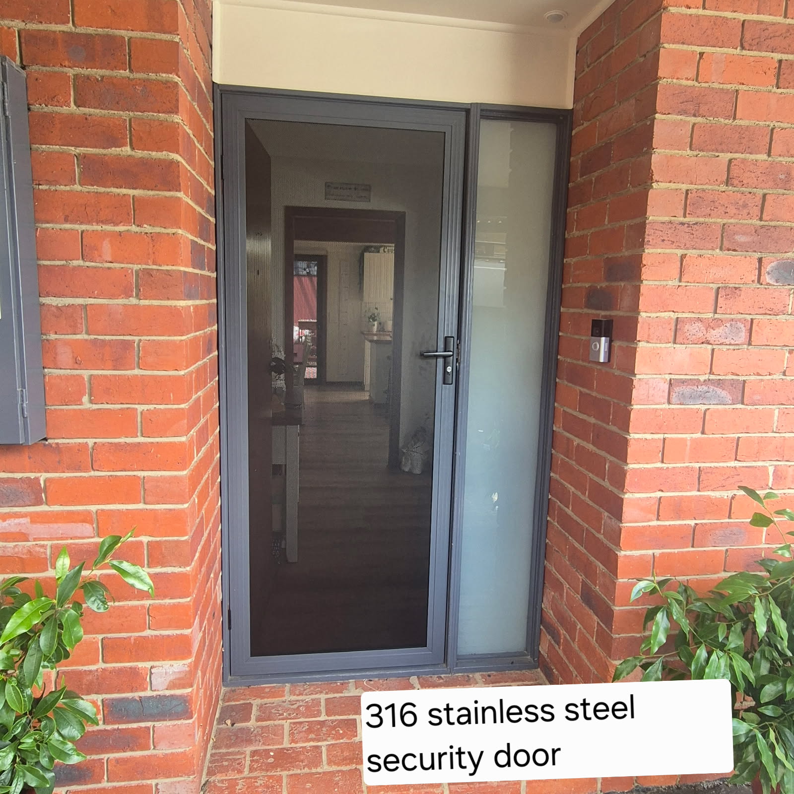 Vision guard security sheet door